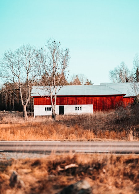 Design Options for Barndominiums